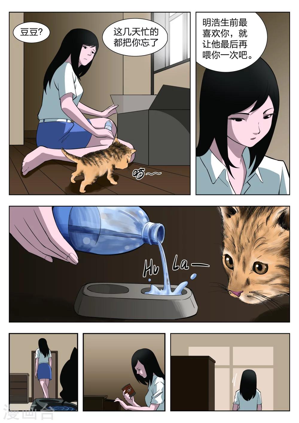 第 41 页
