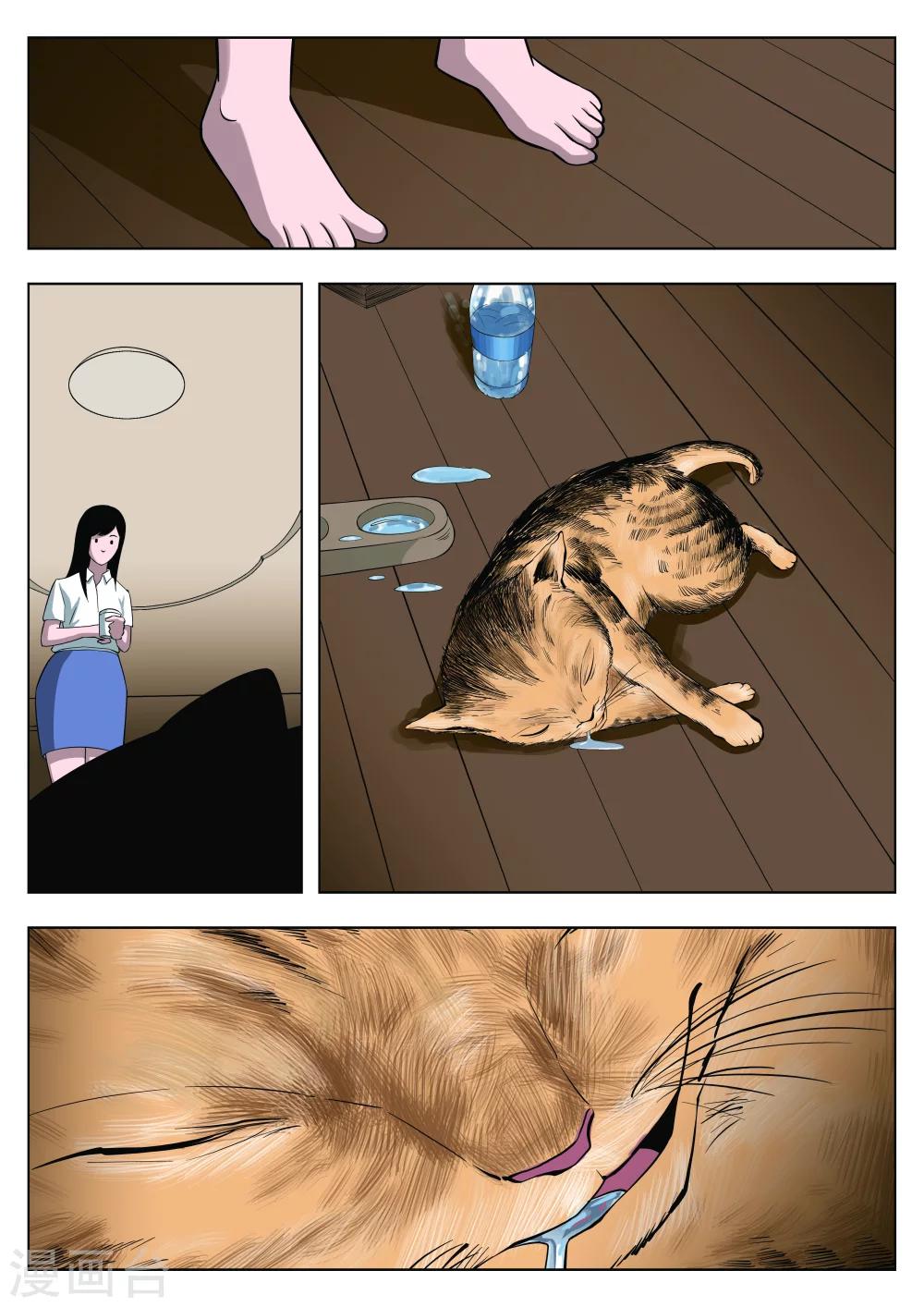 第 43 页