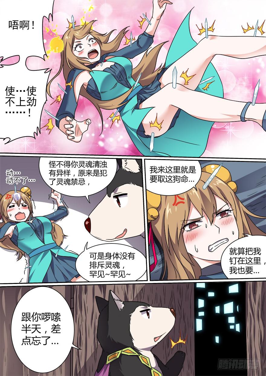 第 5 页