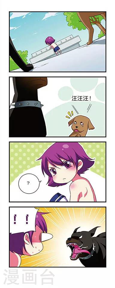第 11 页