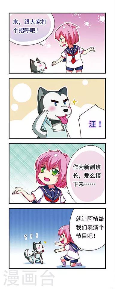 第 6 页