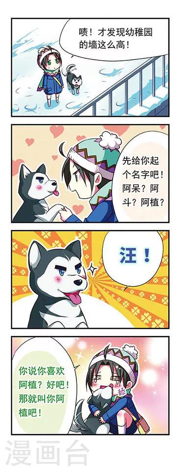 第 13 页