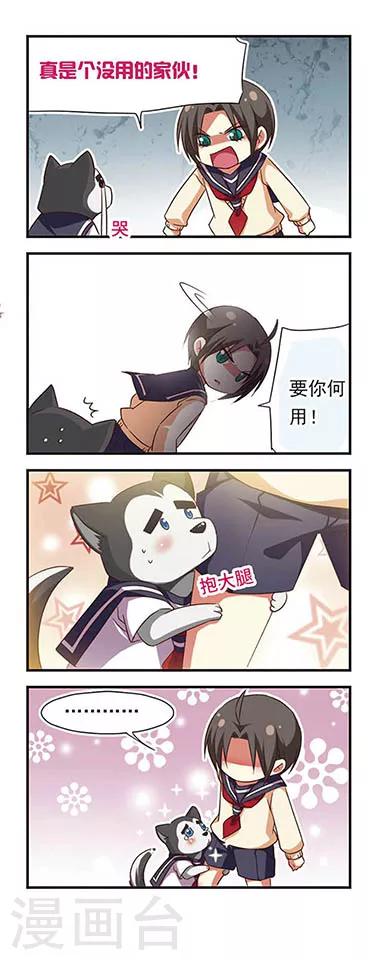 第 11 页