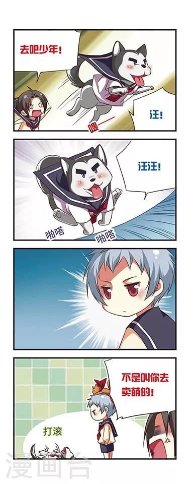 第 8 页