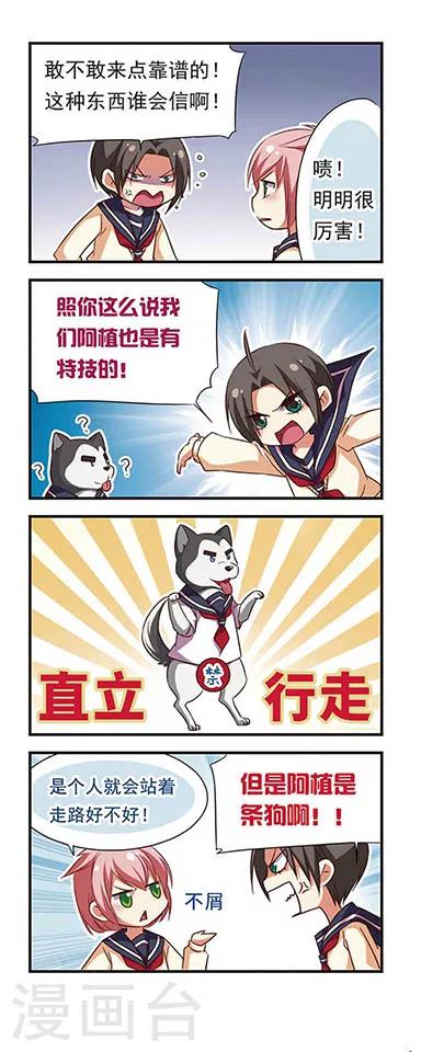 第 6 页