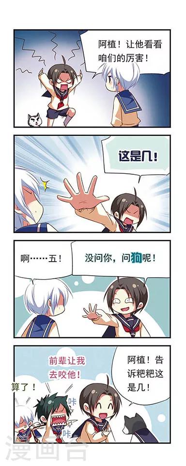 第 14 页