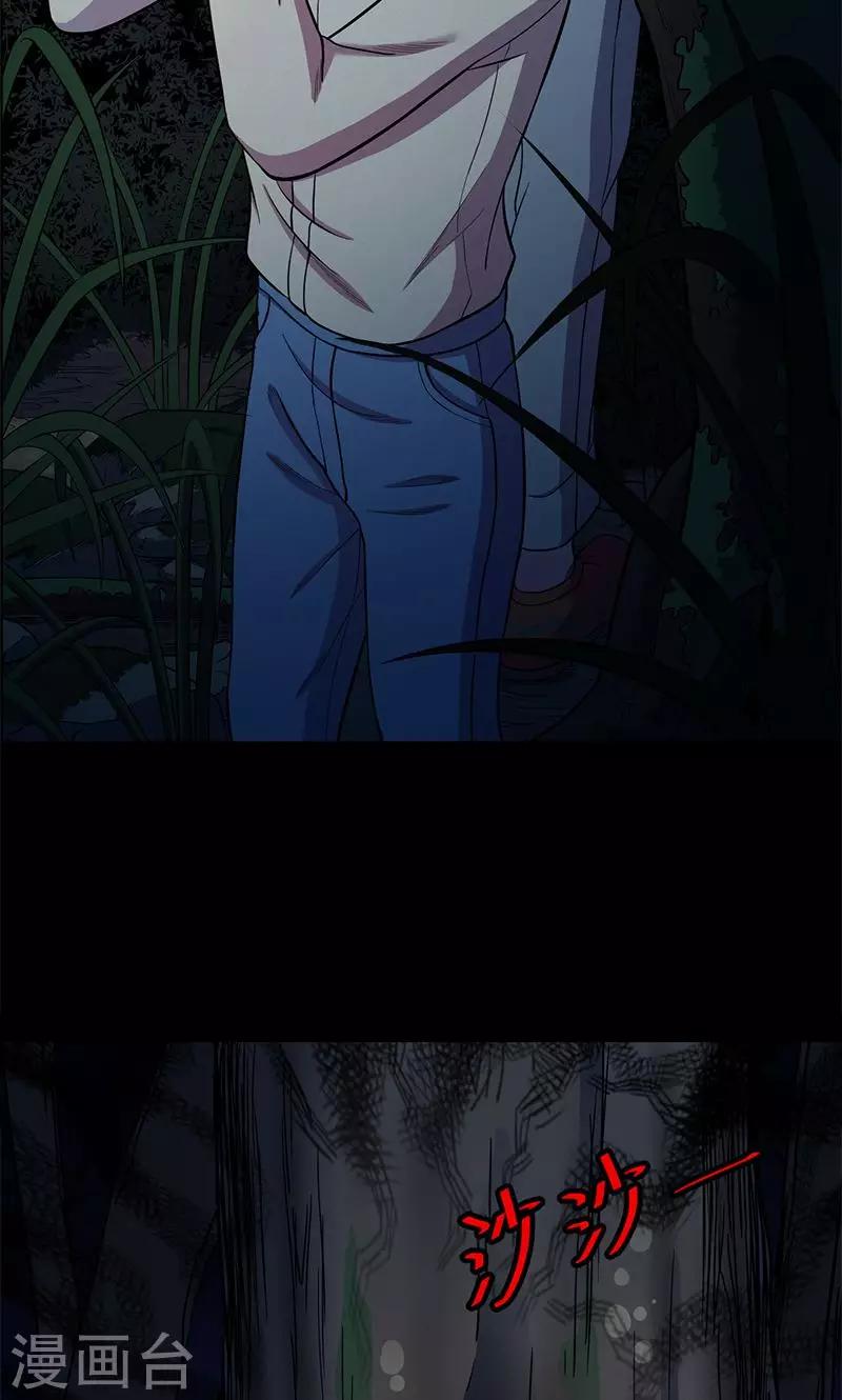 第 52 页