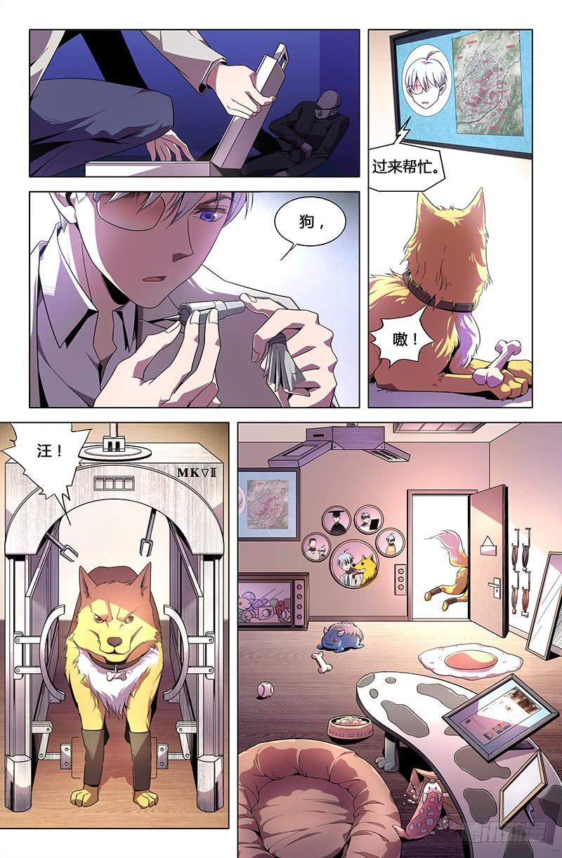 第 11 页