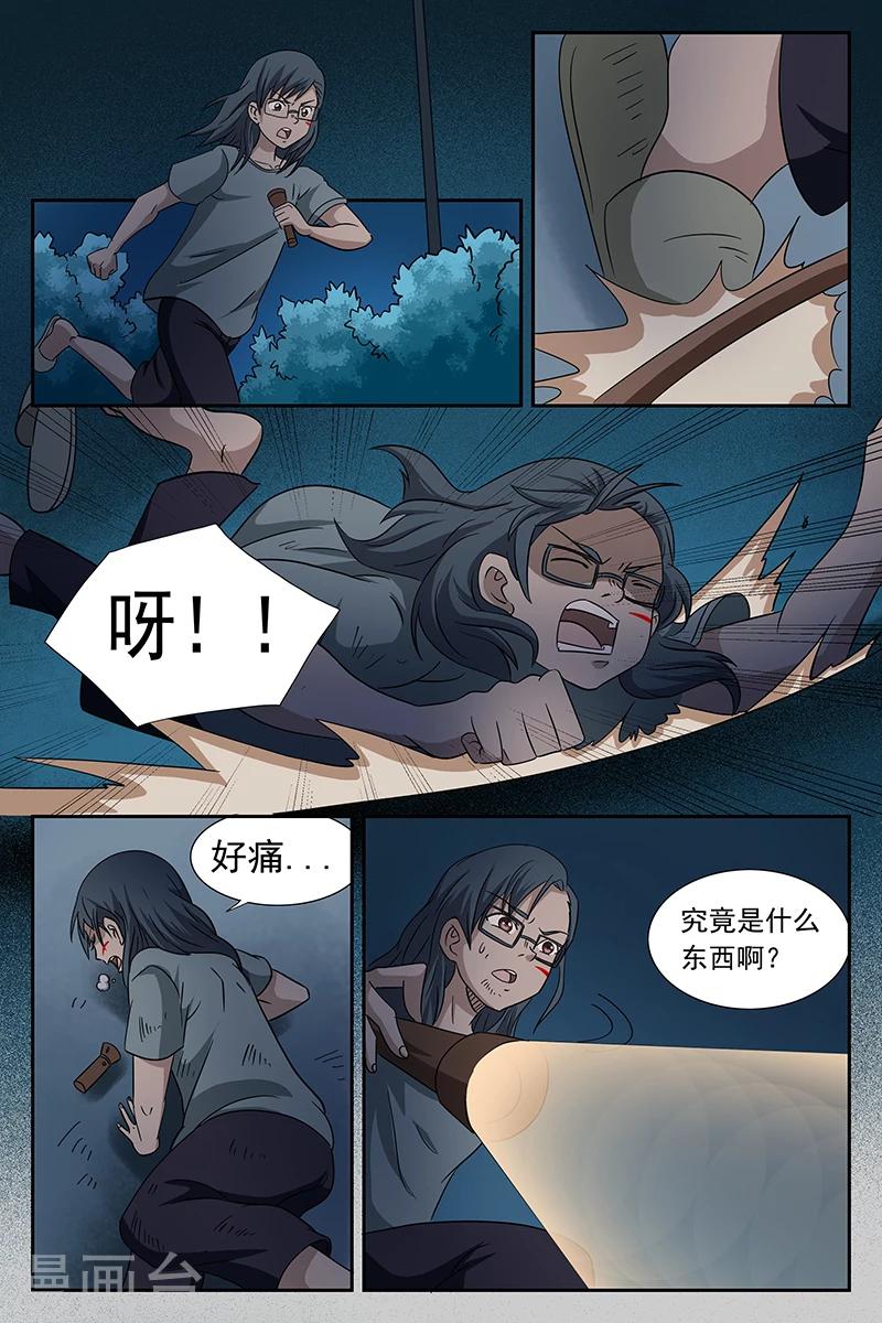 第 6 页