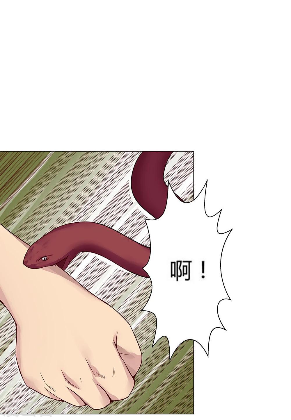 第 51 页