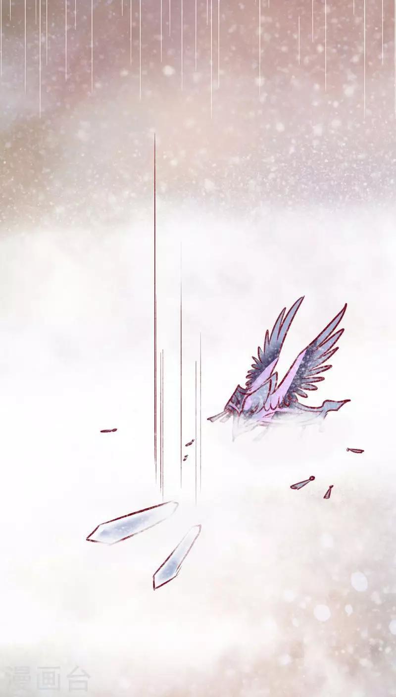 第 61 页