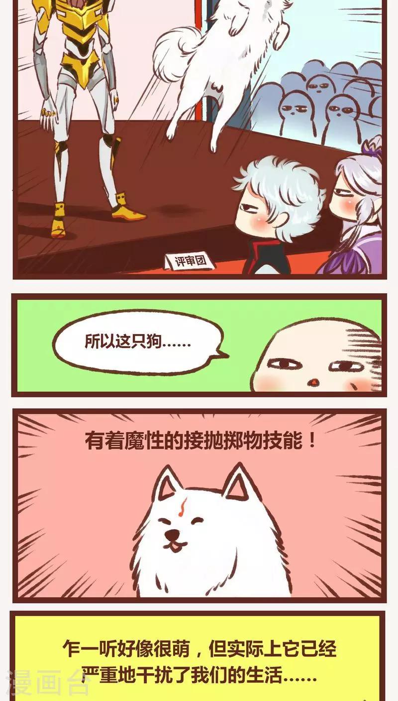 第 19 页