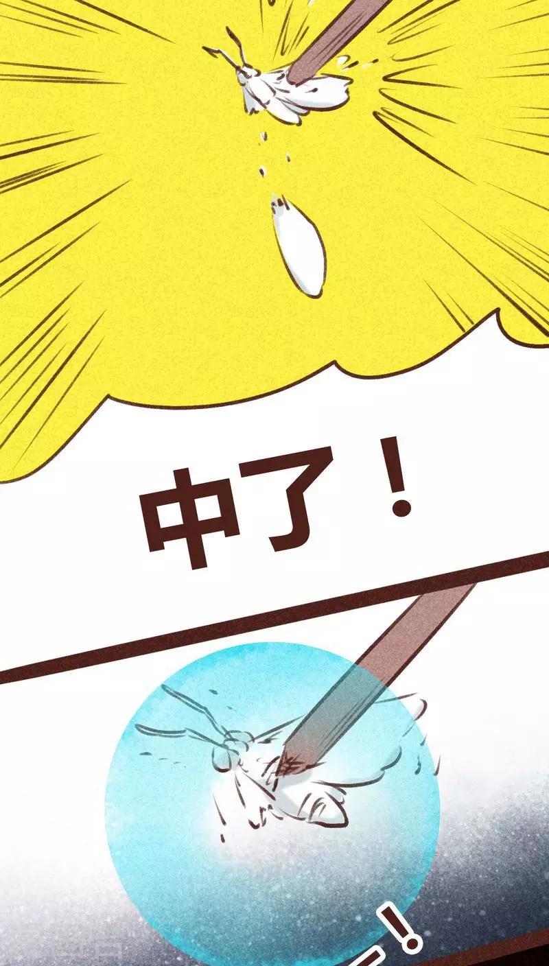 第 48 页