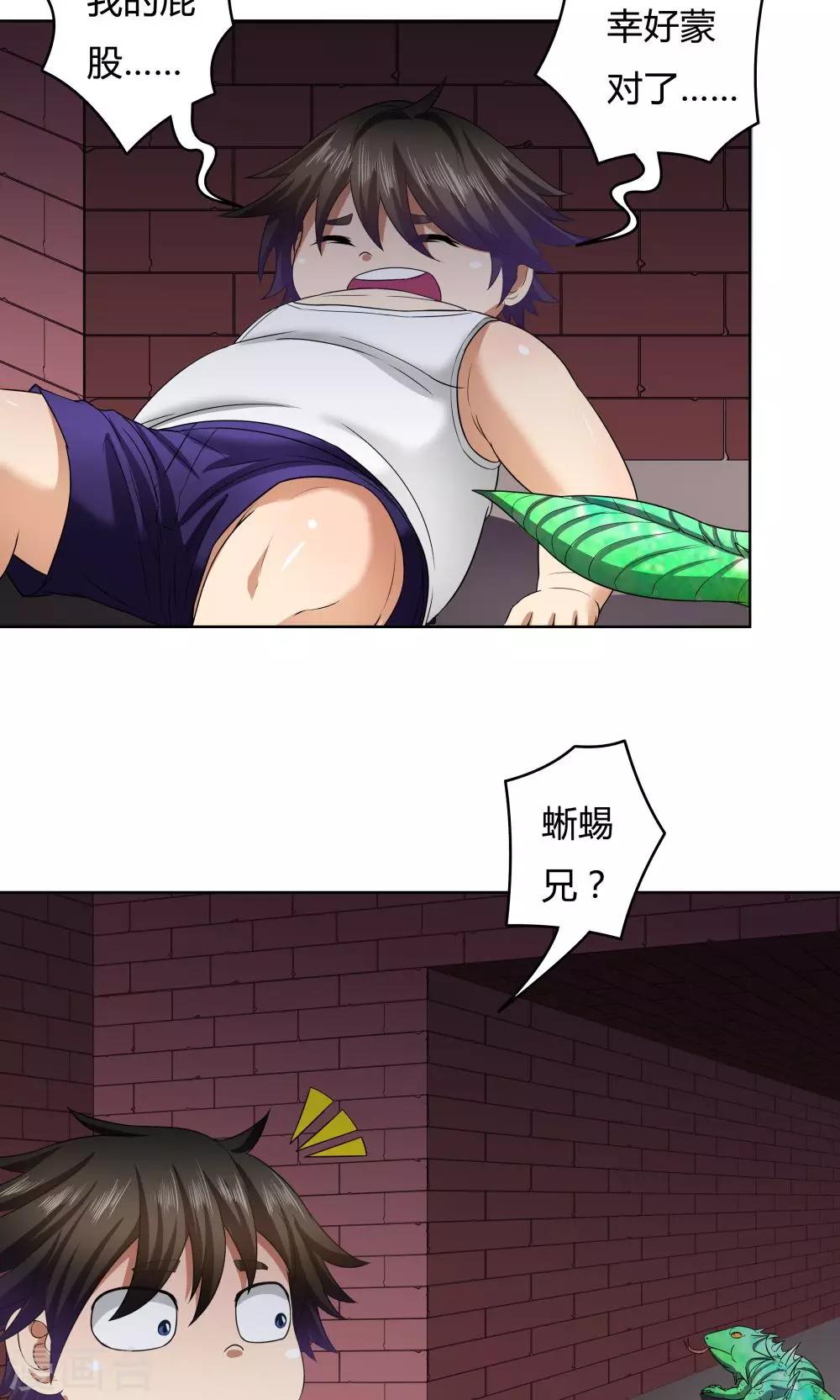 第 29 页