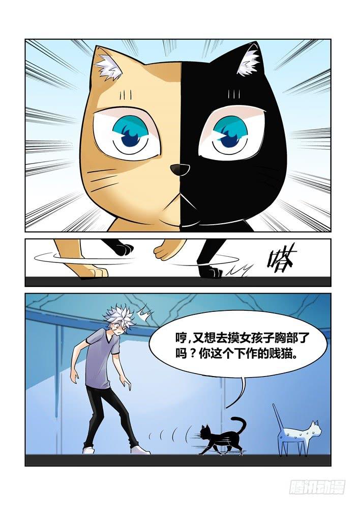 第 5 页