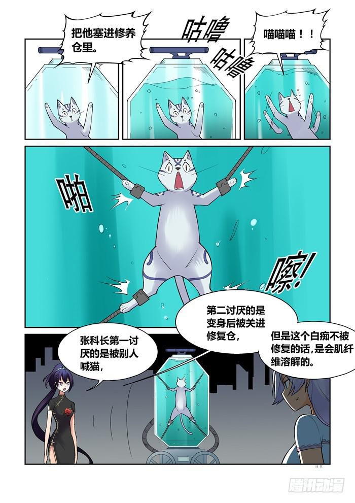 第 11 页