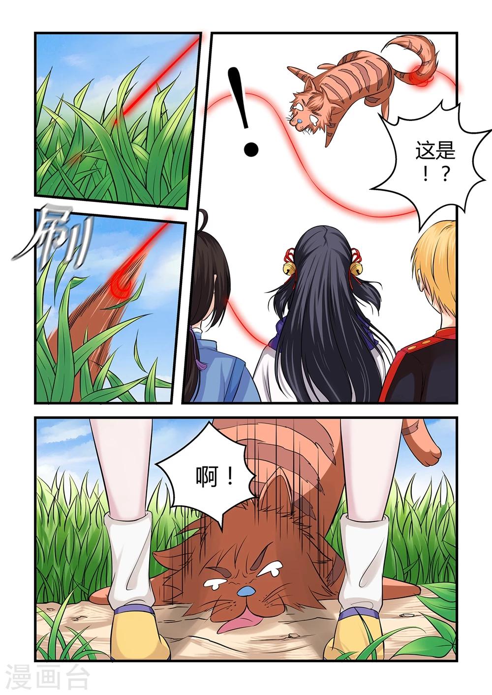 第 11 页