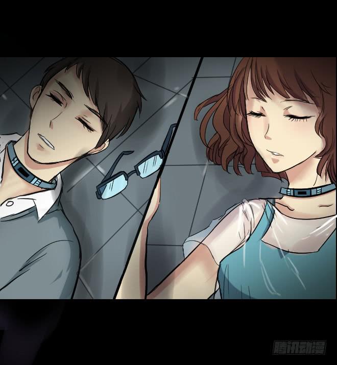 第 41 页