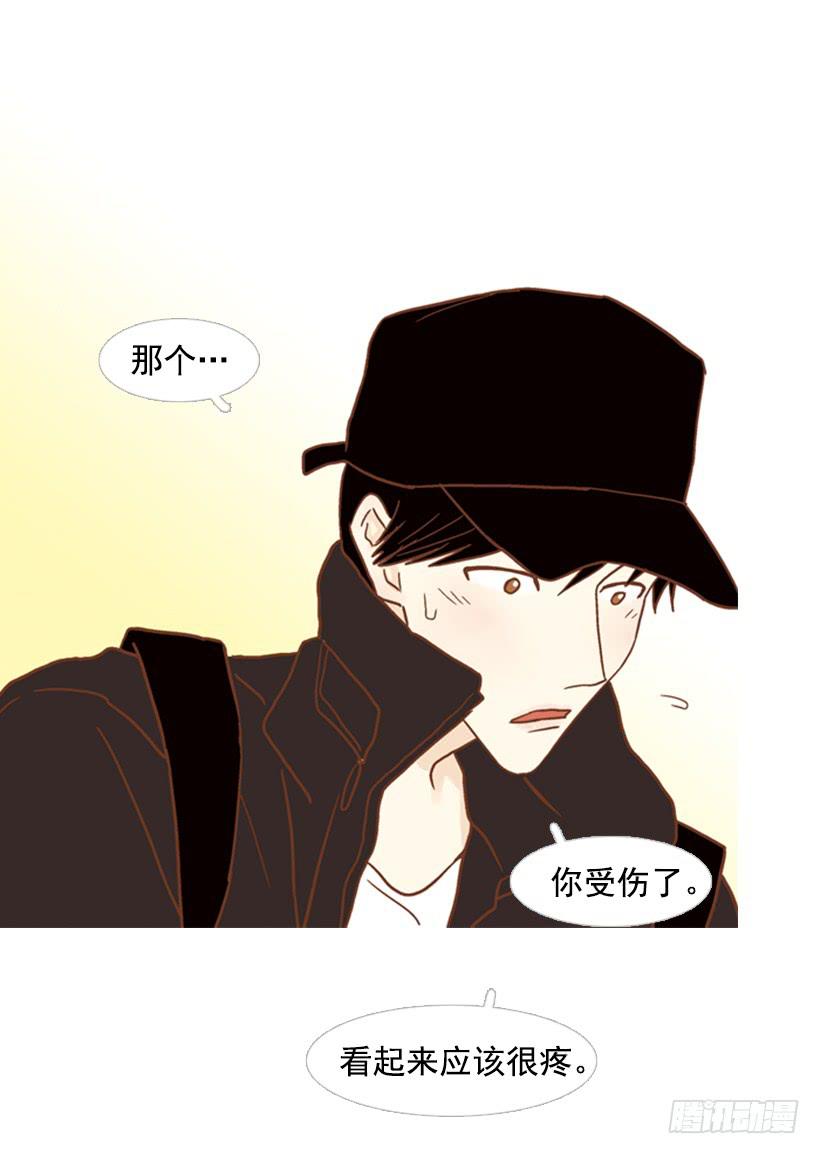 第 51 页