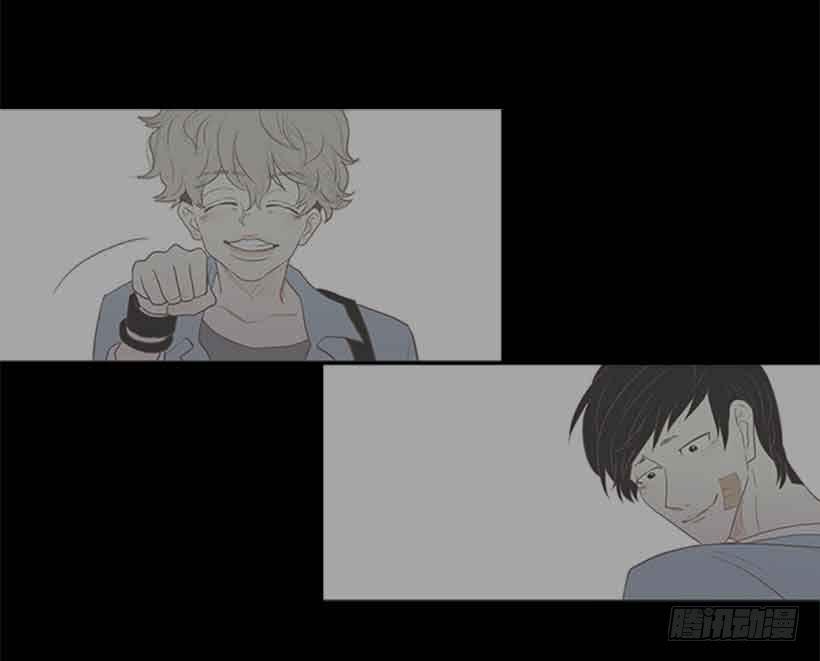 第 41 页