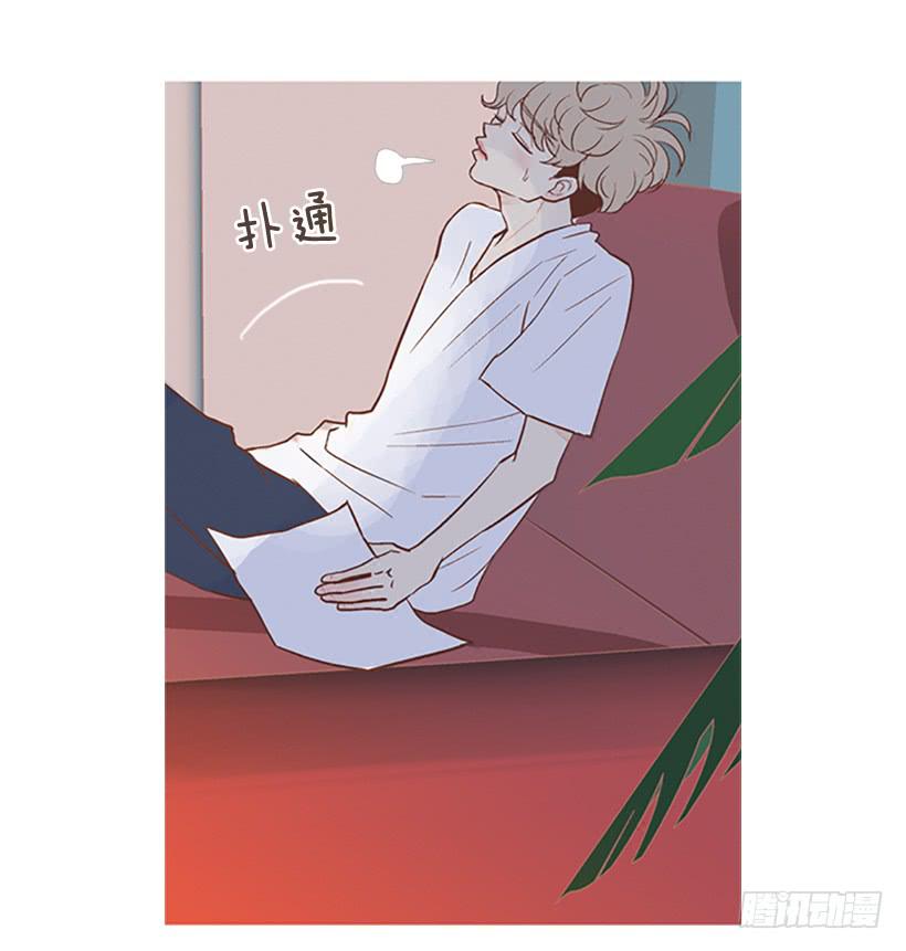 第 41 页