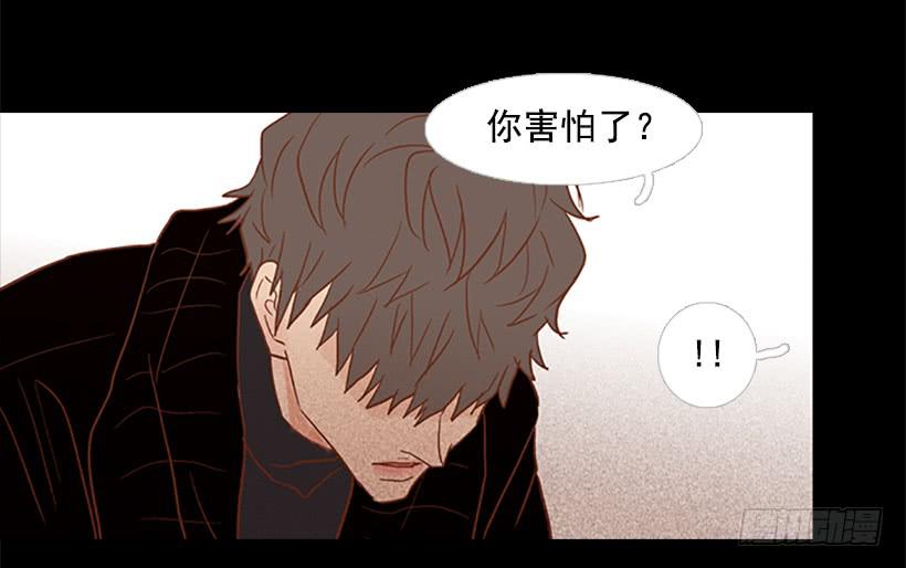 第 46 页