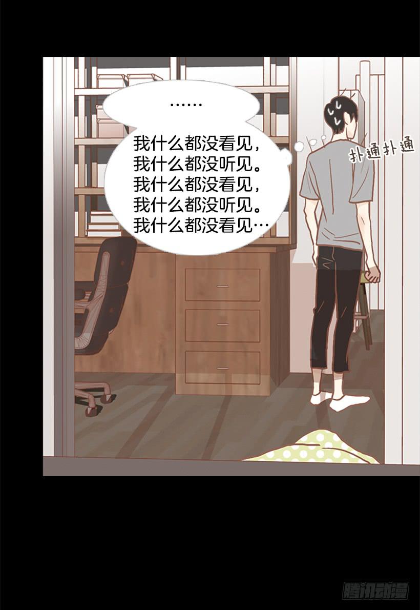 第 51 页