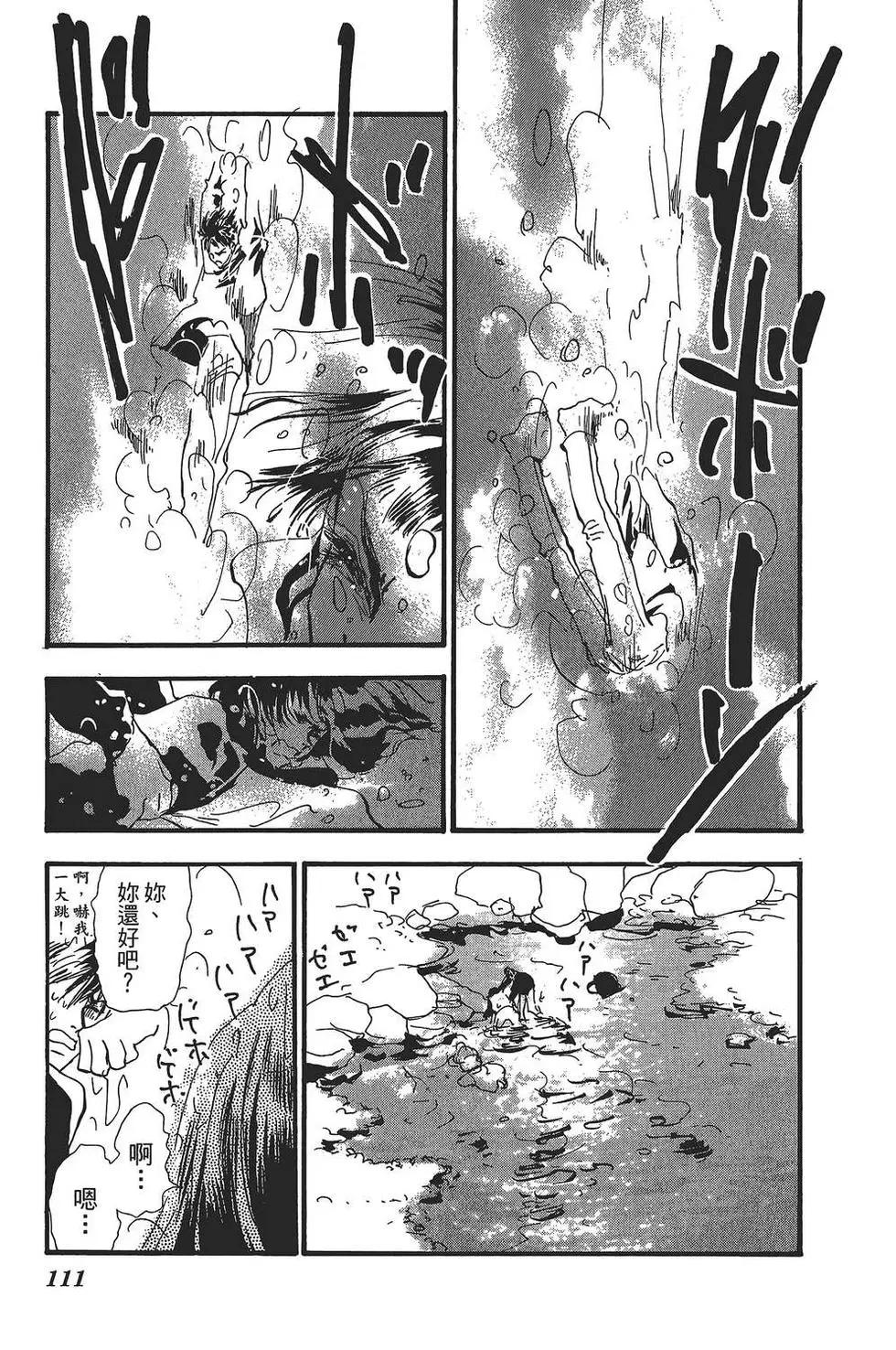 第 110 页