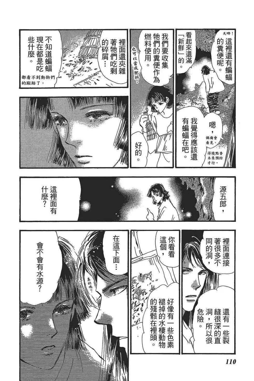 第 111 页