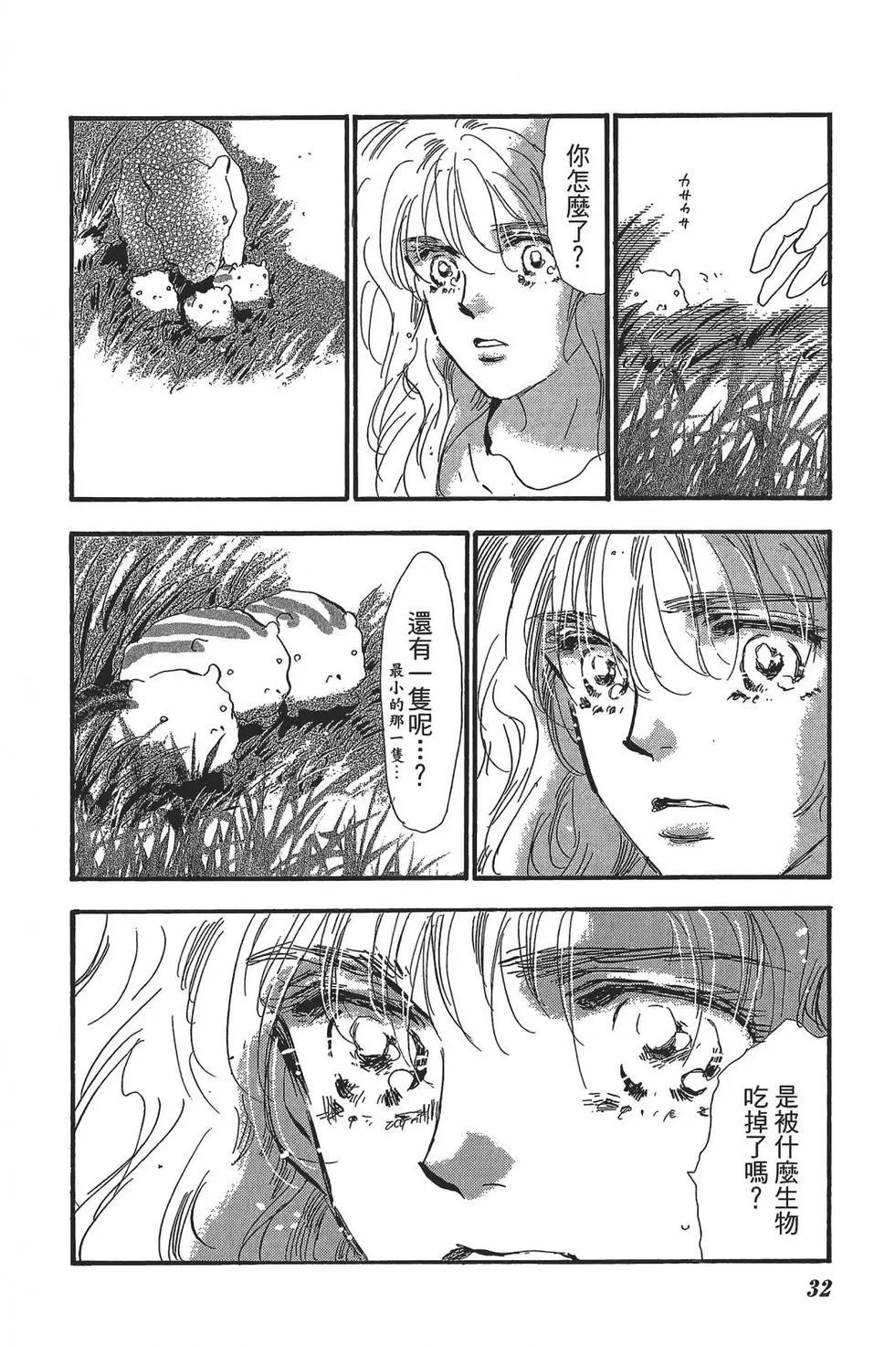 第 33 页