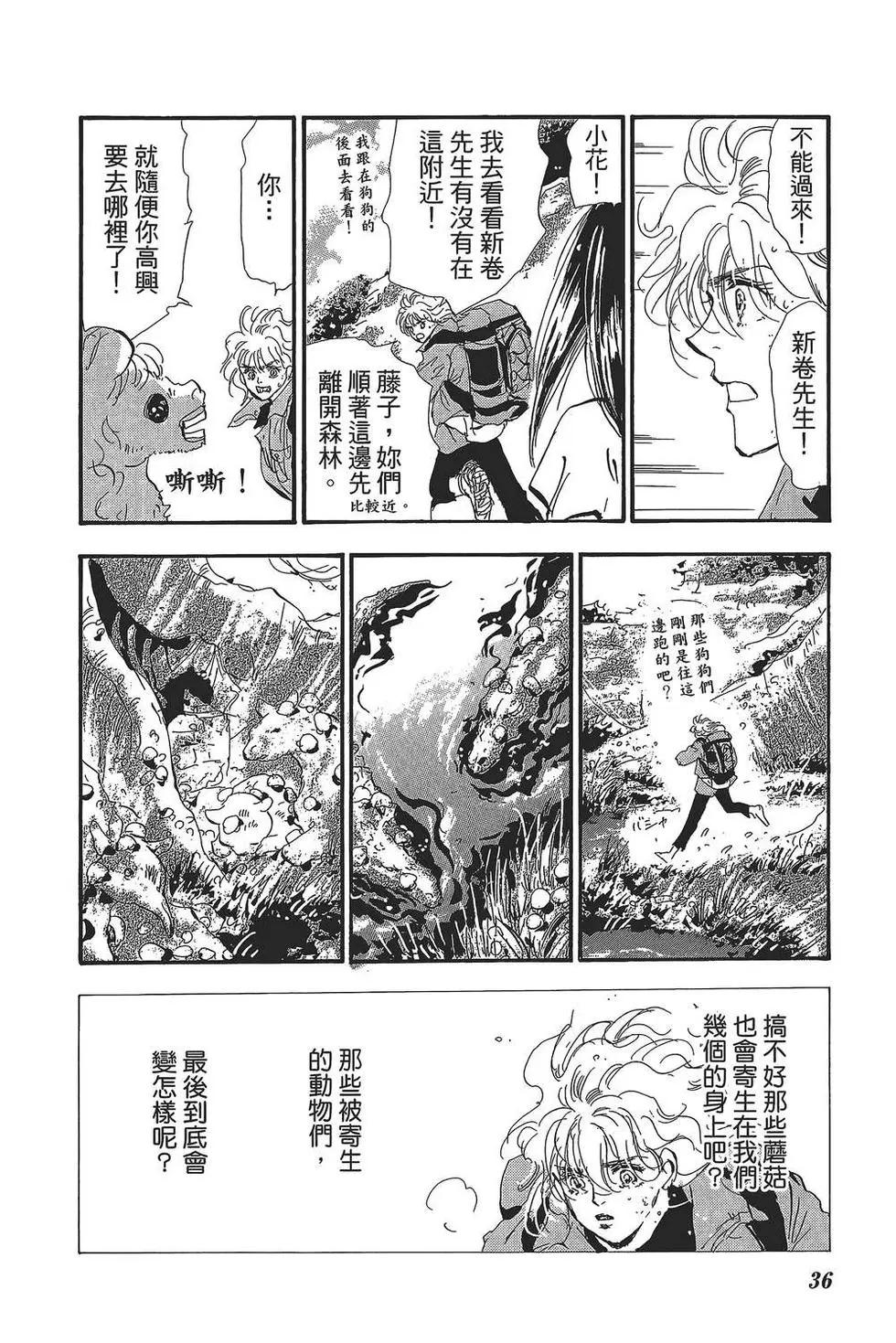 第 35 页