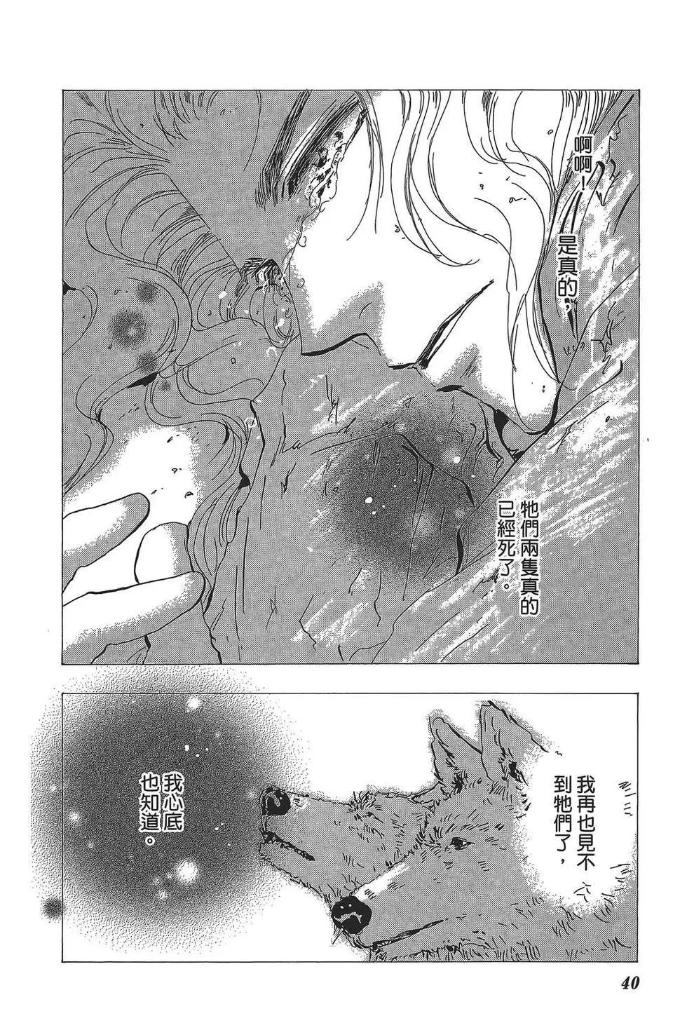 第 41 页