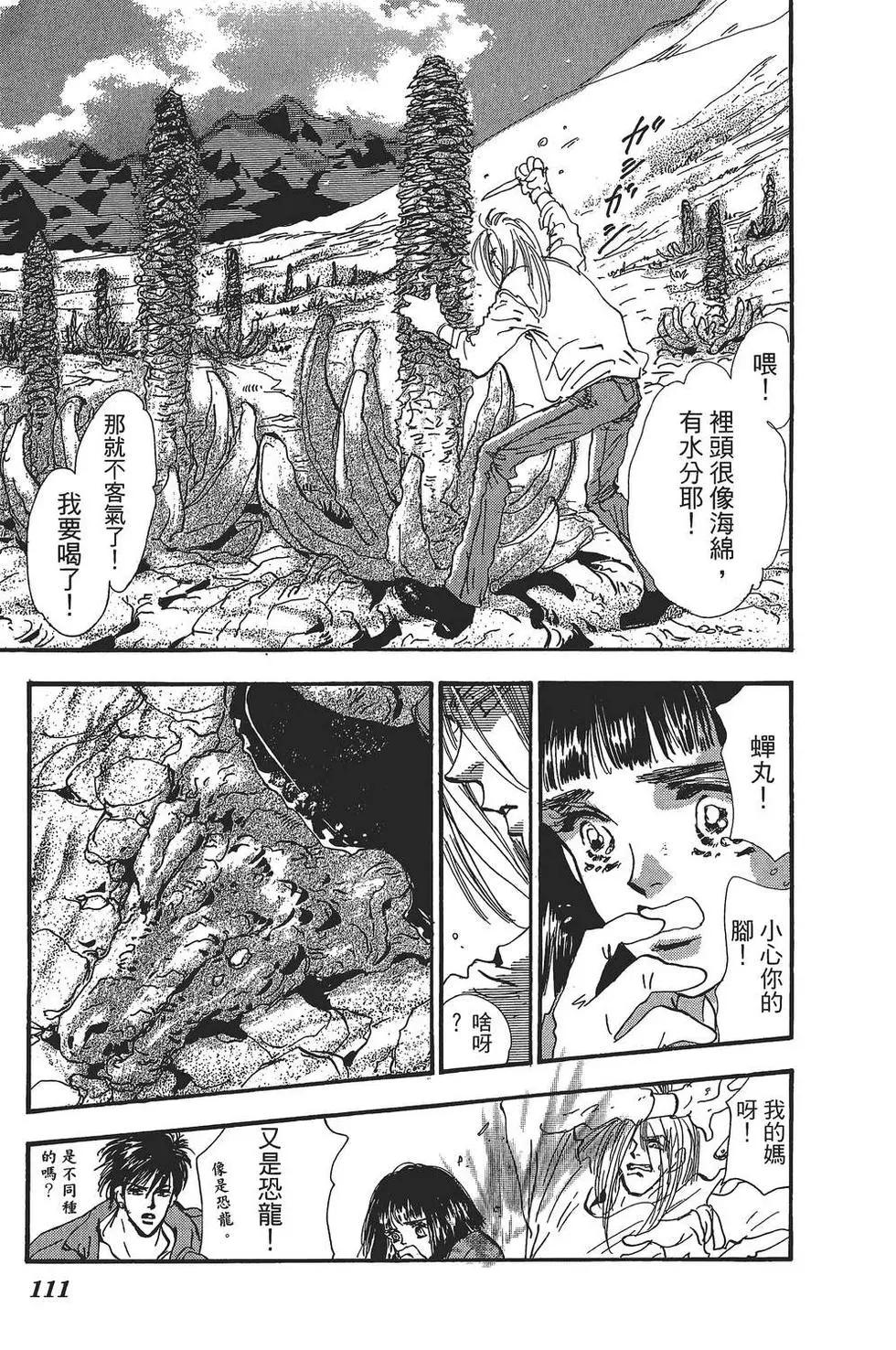 第 112 页