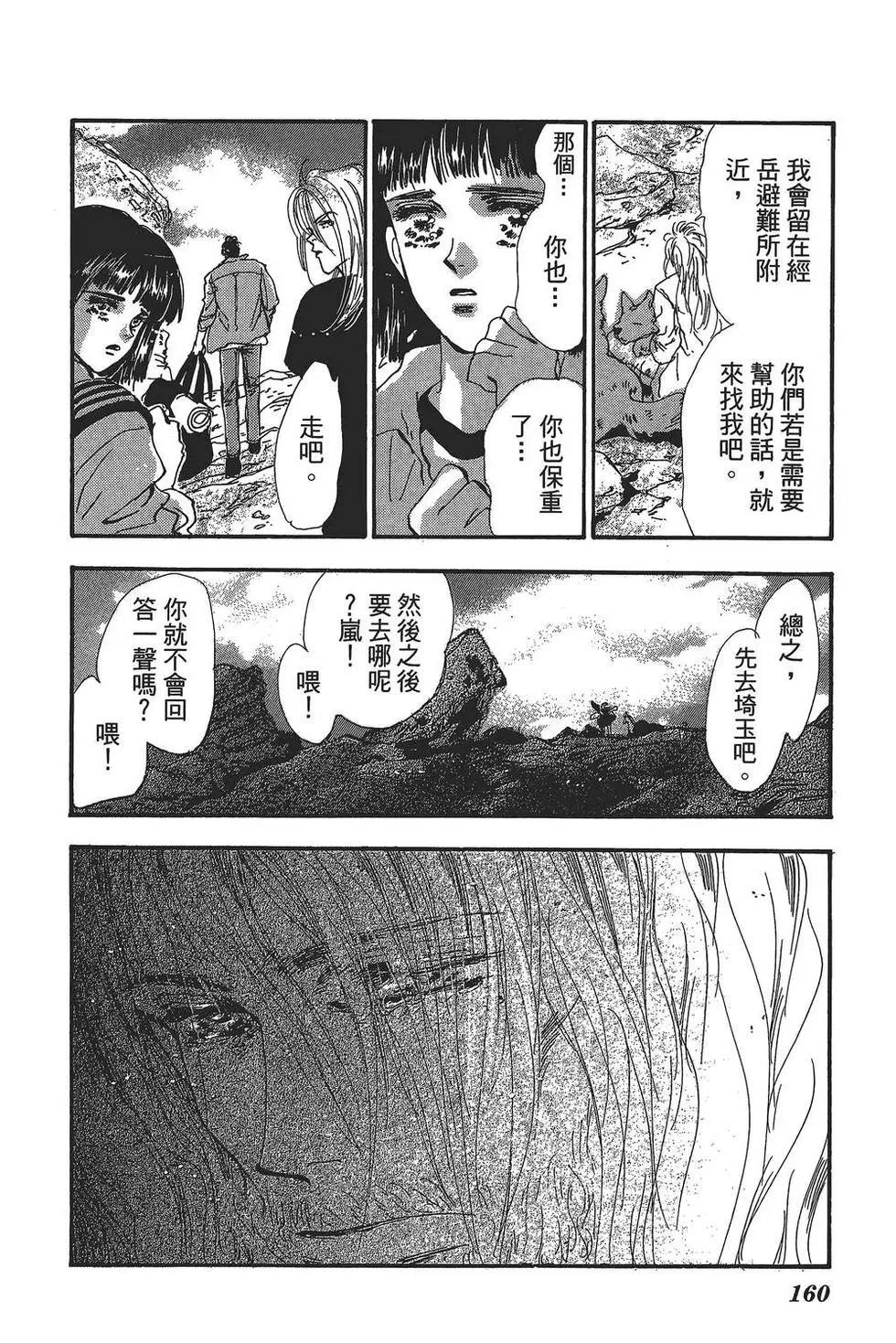 第 161 页