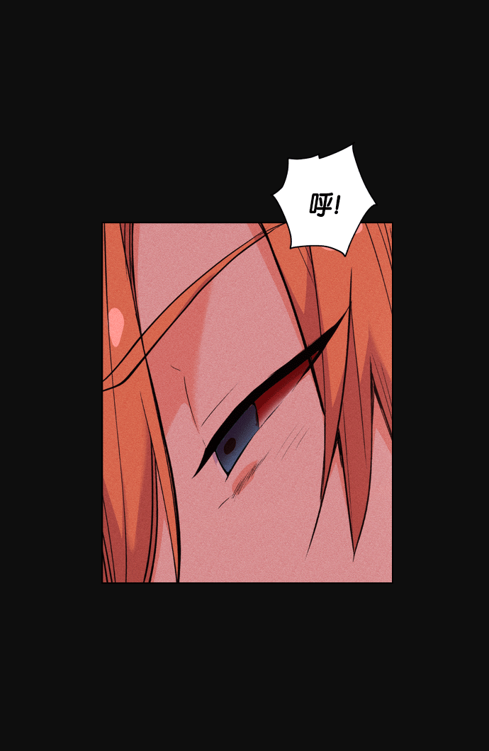 第 216 页
