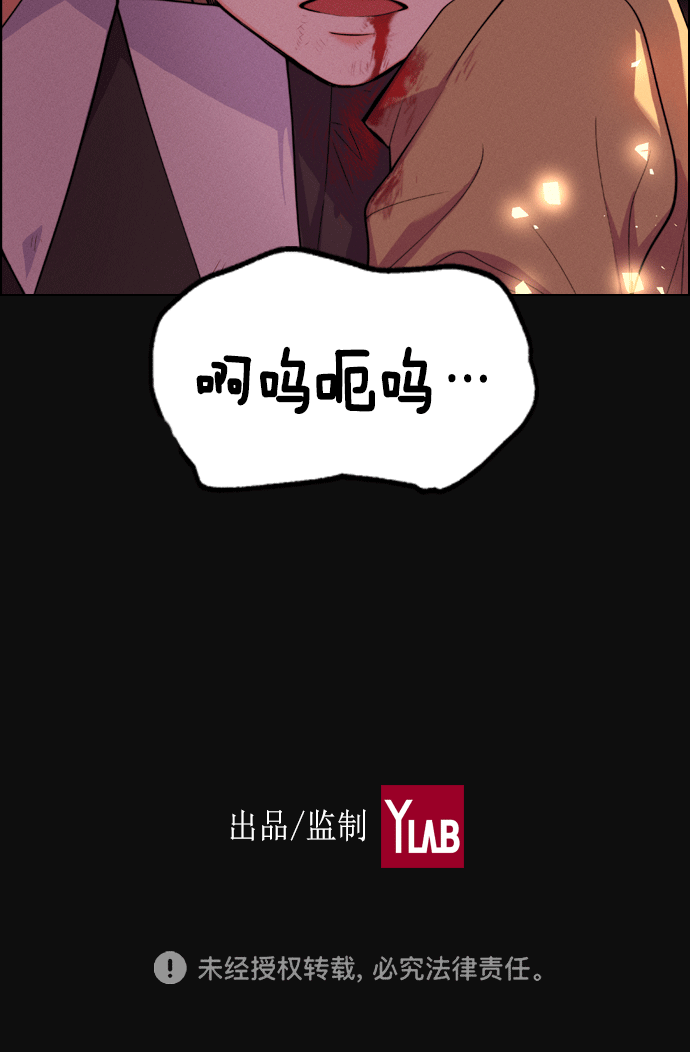 第 219 页