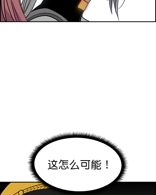 第 113 页
