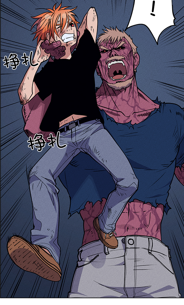 第 75 页