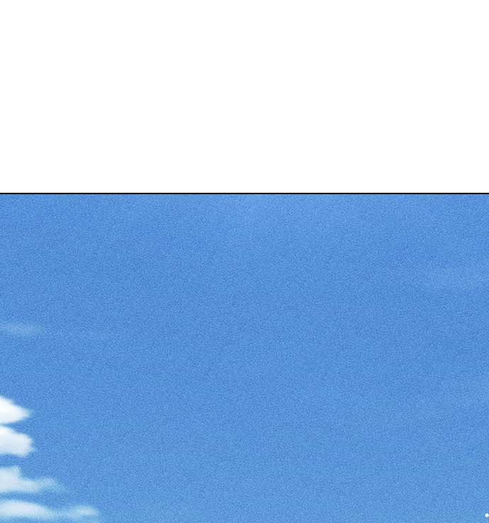 第 98 页