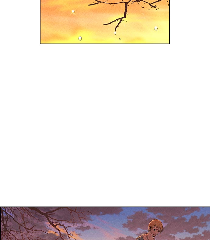 第 113 页