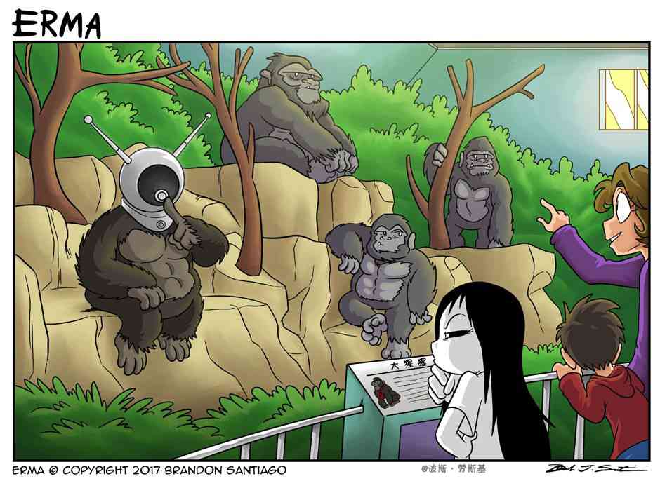 第 5 页