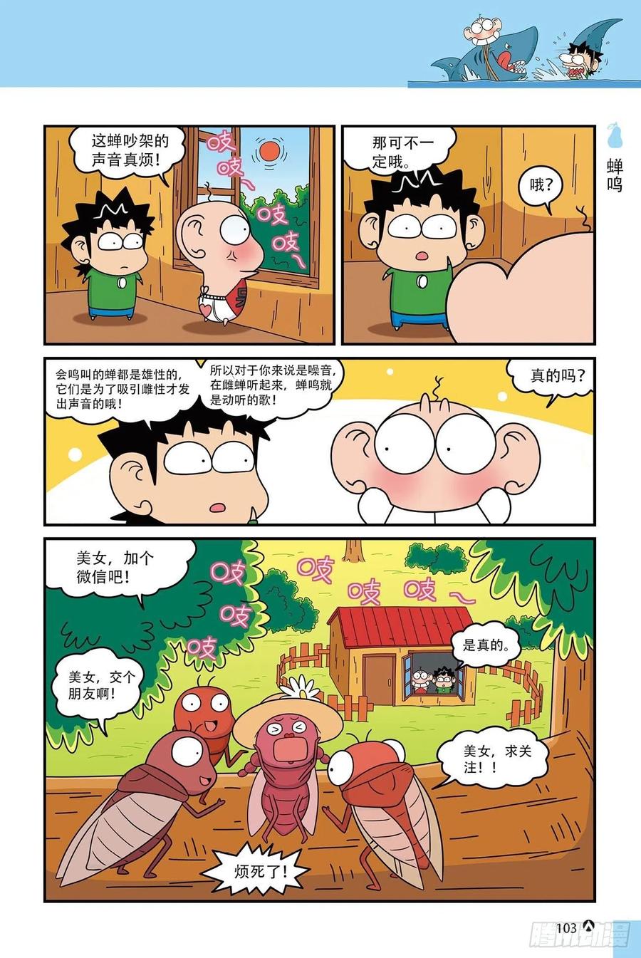 第 17 页