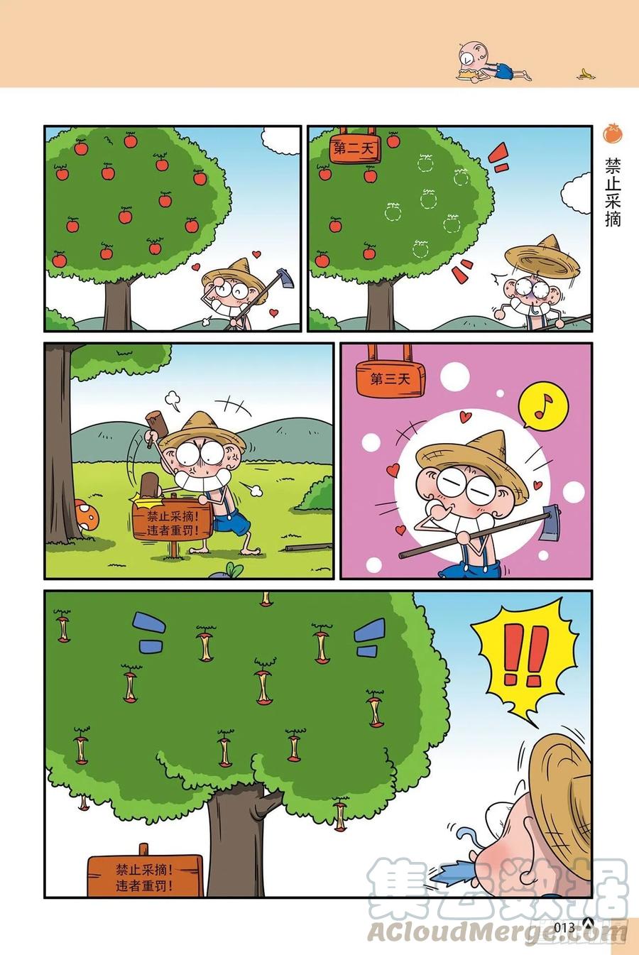 第 13 页