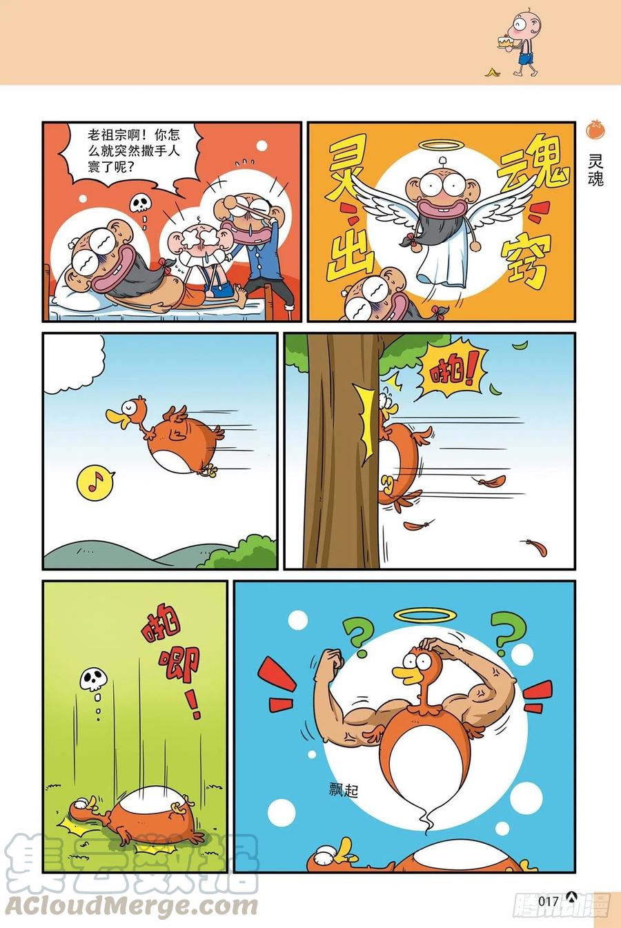 第 17 页