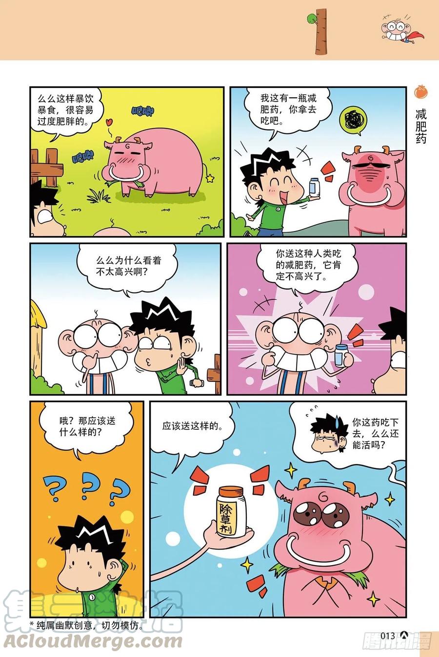 第 13 页
