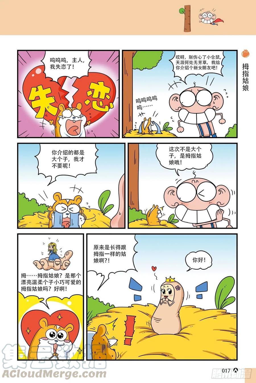 第 17 页