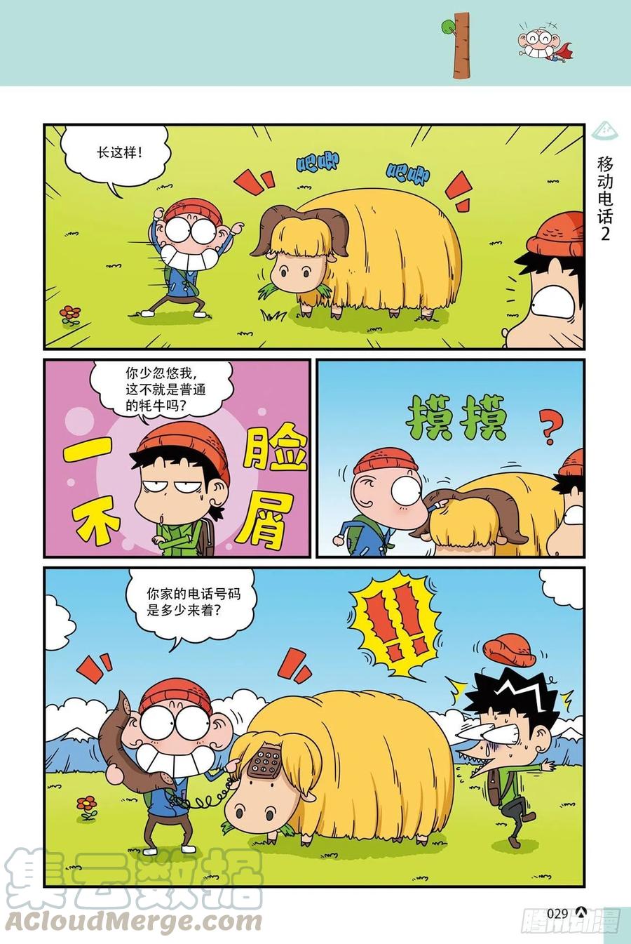 第 11 页