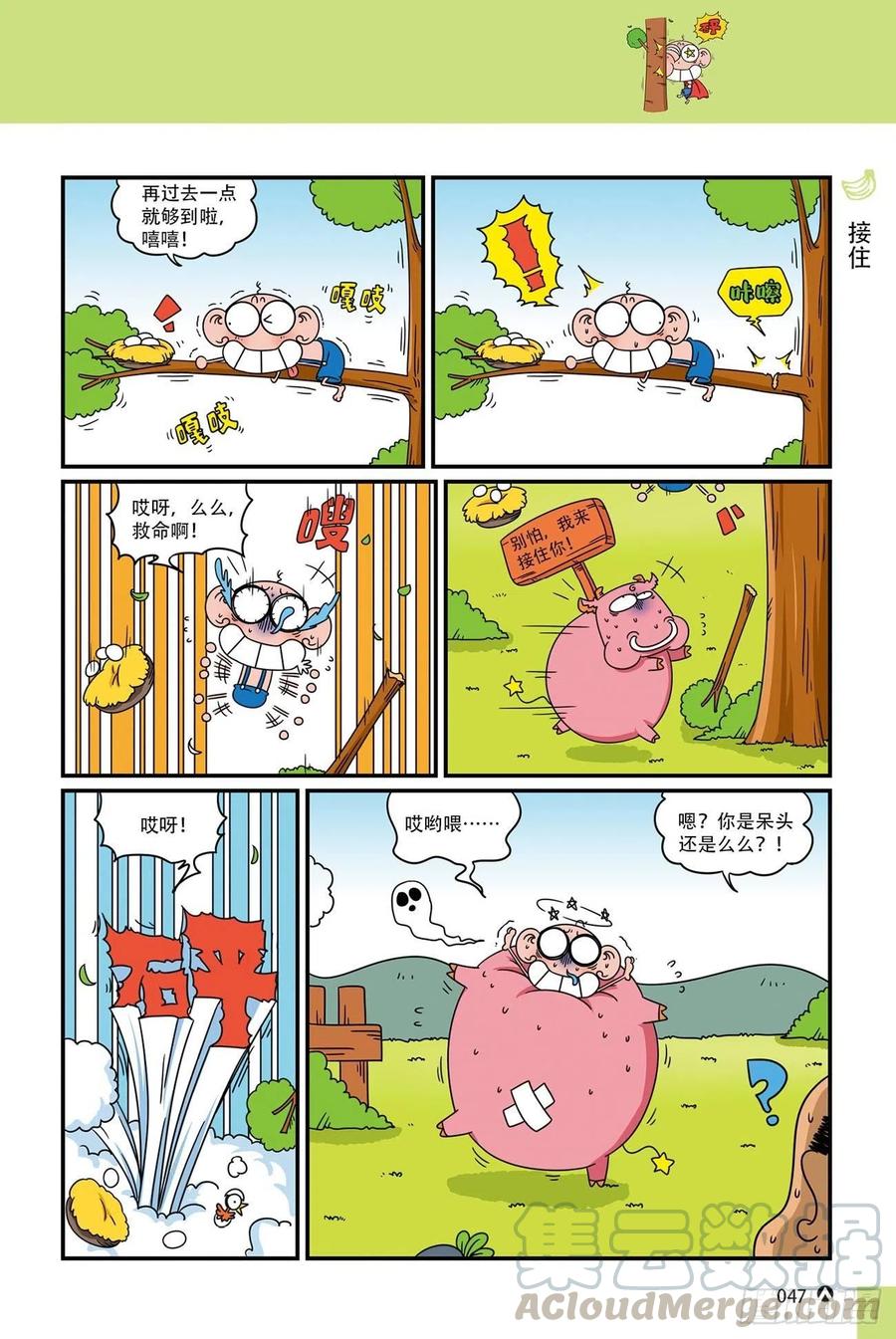第 11 页