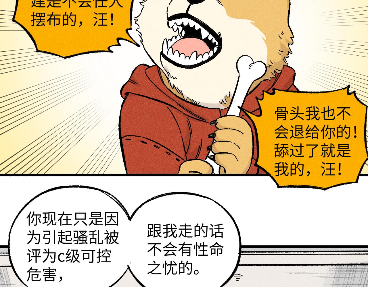 第 47 页