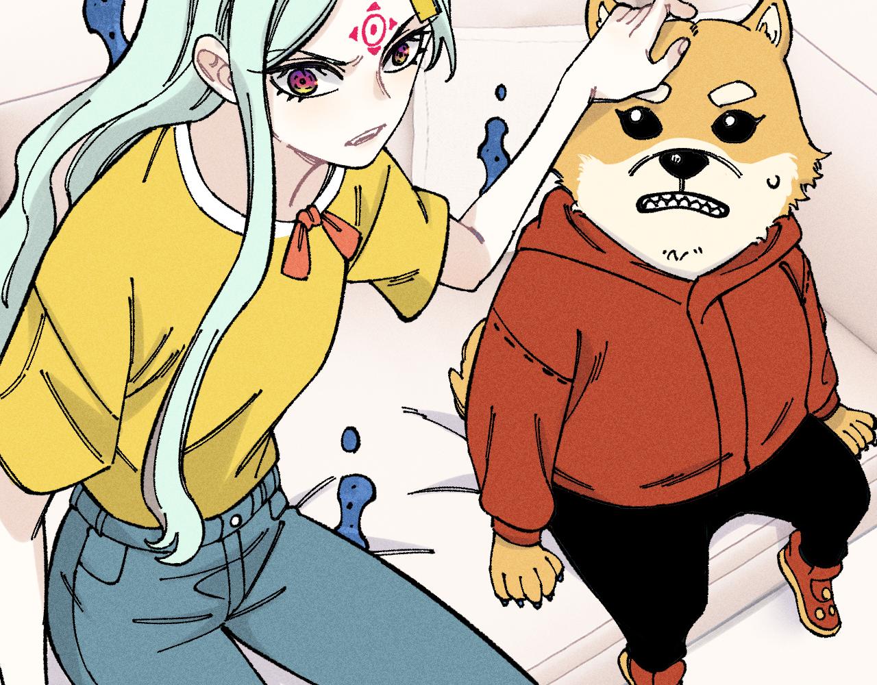 第 17 页